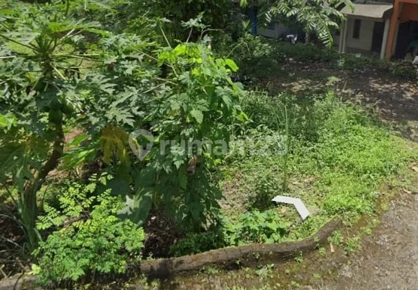 TANAH DI JALAN SAKURA PRIGEN TANAH DI JALAN SAKURA PRIGEN