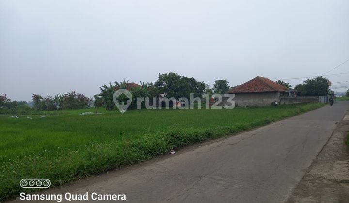 Tanah luas di Sapan Tegalluar Gedebage cocok untuk pabrik atau gudang