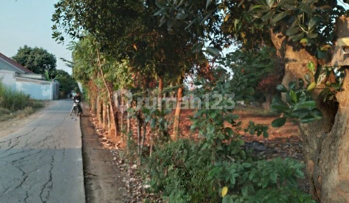 KAVLING CIKAMPEK, COCOK UTK BANGUN RUMAH KOMPLEK, LT 5015M, SHM, HRG 600RB/M