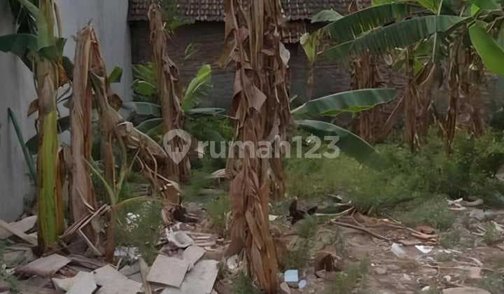 Tanah Siap Bangun Kauman Palebon Majapahit