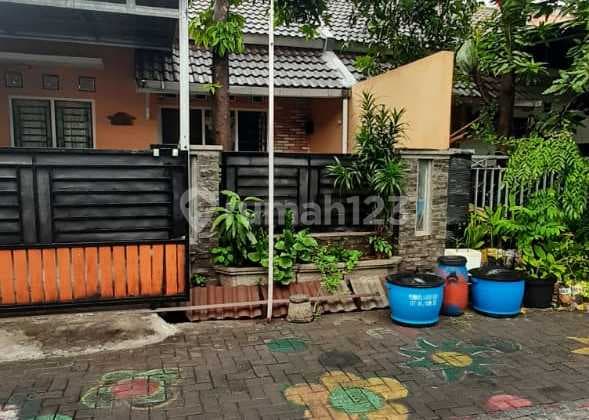 Rumah Siap Huni Plamongan Indah