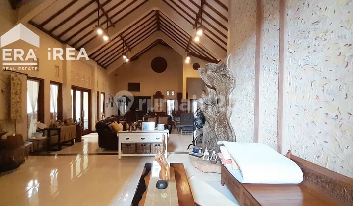 Rumah dan Ruang Usaha Area Pucangan Sukoharjo
