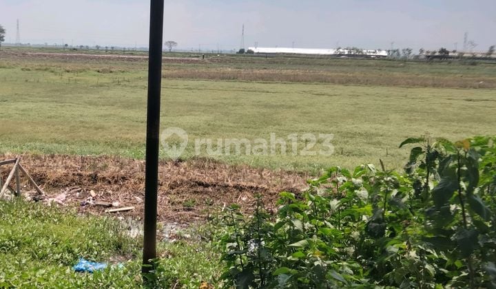 Tanah Brebes Industri *