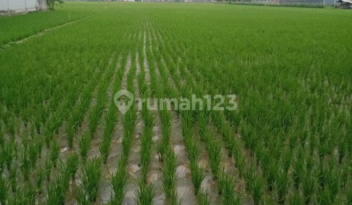 Tanah Rancaekek -Majalaya *