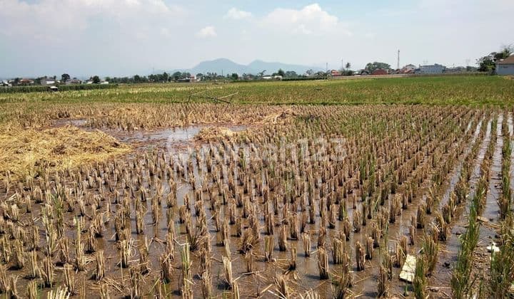 Tanah Majalaya Strategis *