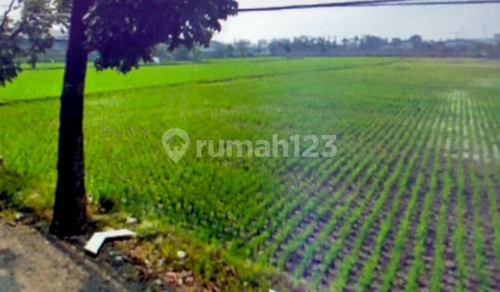 Tanah Laswi Industri *