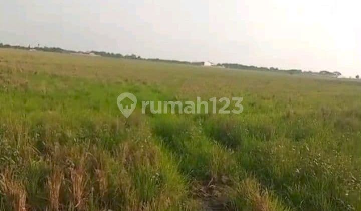 Tanah Subang Industri *