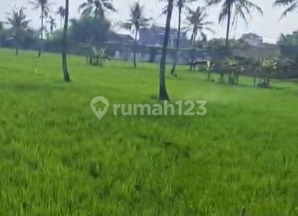 Tanah Laswi Baleendah
