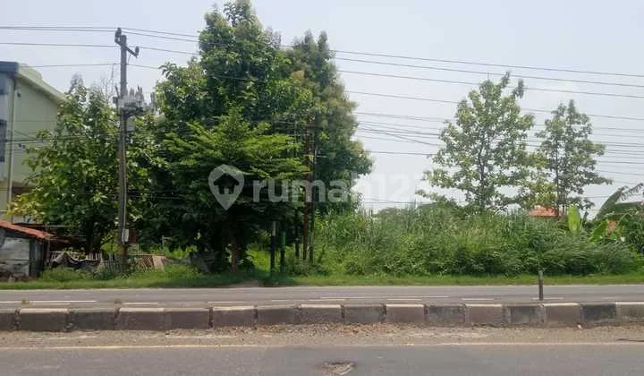 Brebes Industrial Land