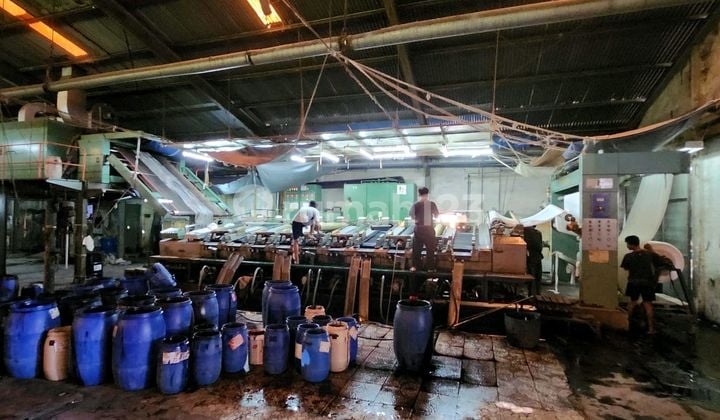 Pabrik Pekalongan Tekstil - Printing