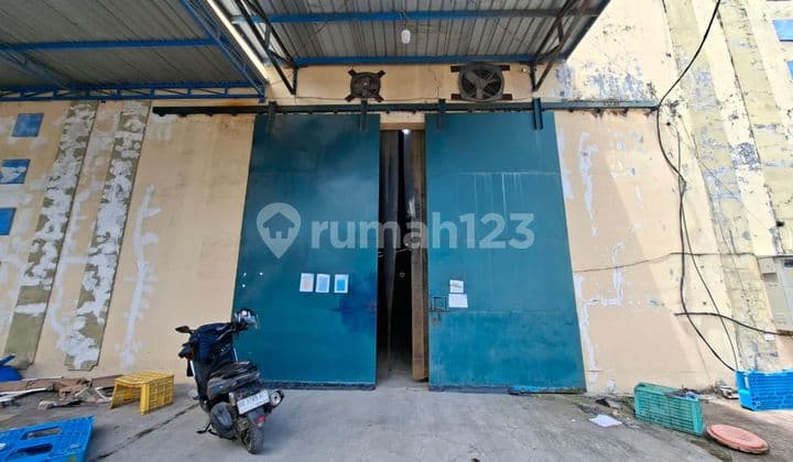 Parangloe Warehouse Area 1000 M² With Office