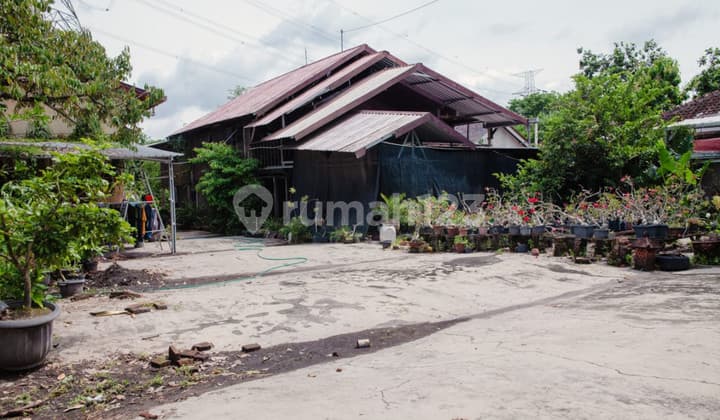 House & Warehouse 2518 Square Meters Near Grabah Museum Sewon Bantul