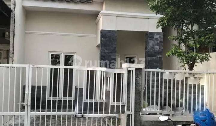 Puri Safira Blasavola Puri Safira Blasavola