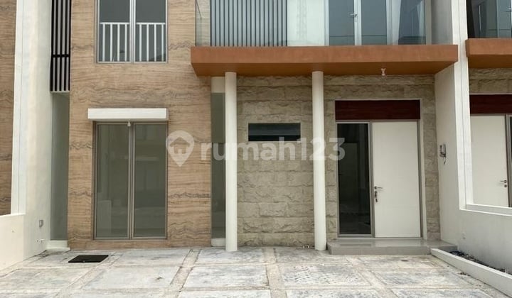 Greenland Cluster Garbera Greenland Cluster Garbera