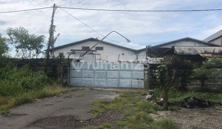 Murah Gudang Raya Greges Tambak Osowilangun