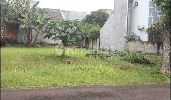 Prime Plot Ready to Build, BSD