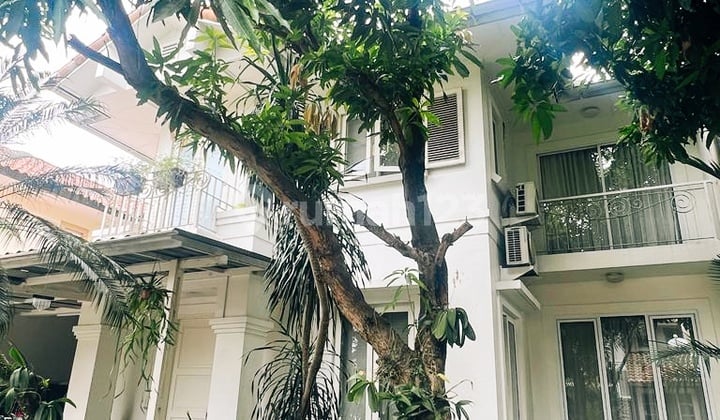 Hunian Hommy Fully Furnished, BSD (Bw)