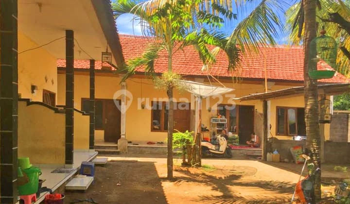 Kosan Di Lovina Dekat Pantai Hsgr15