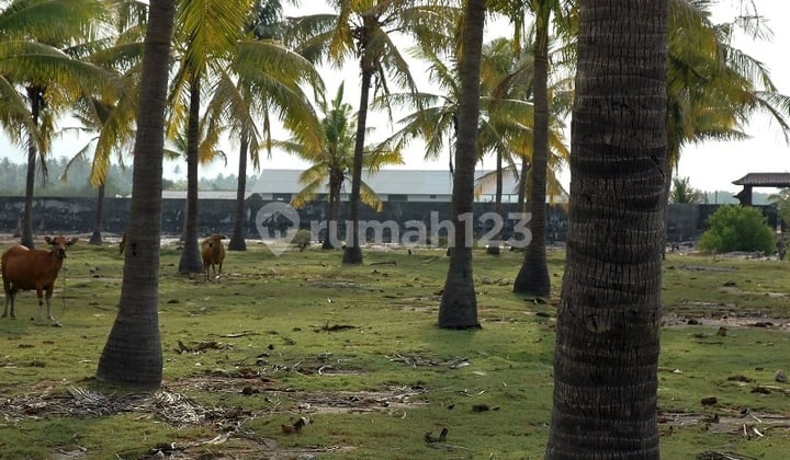 Tanah Dekat Pantai Sumberkima Buleleng Bali wytsgr236