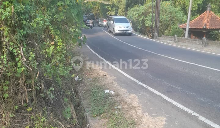 Tanah Murah Celuk Sukawati Dekat Ubud Bptgia182