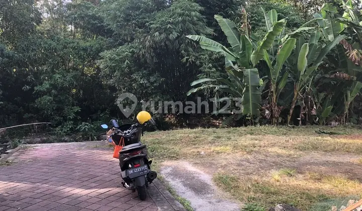 Dalung Land Kerobokan Bali wytker16