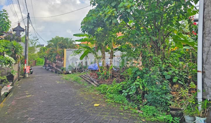 Tanah SHM di Canggu Berawa Semat (Dwtcgu5)