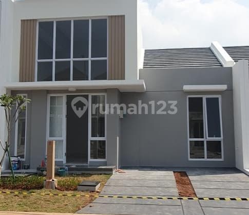 Unit Rebutan - Paramount Petals Cluster Canna