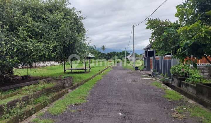 Tanah Kavling Jalan Menara Suar Pelabuhan Celukan Bawang Gerogak
