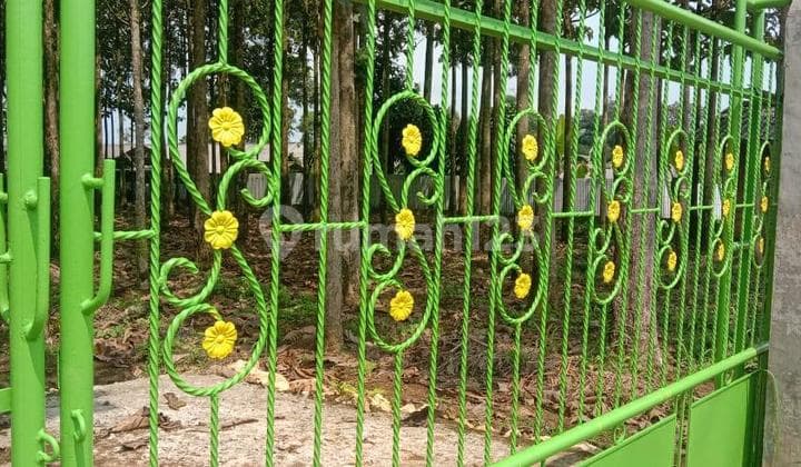 Kavling Pohon Jati Lido Sukabumi Dekat Akses Tol