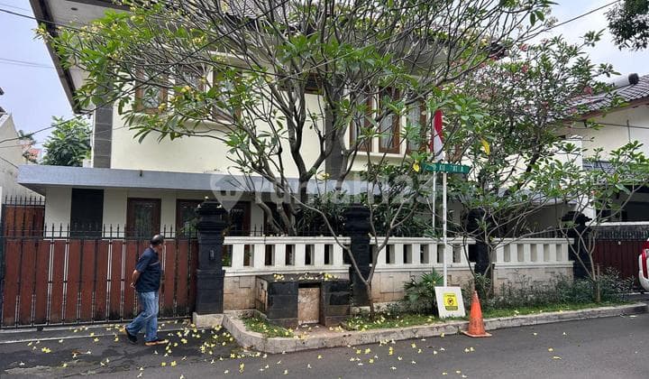 Rumah Asri Di Komplek Elit Dekat Tugu Pancoran