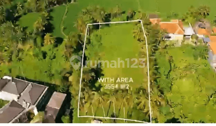 Tanah dengan The Best View In Mas Ubud Gianyar