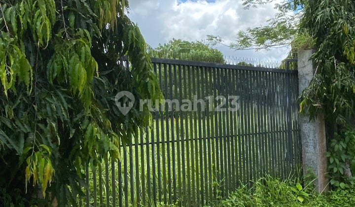 Tanah Cocok untuk Villa Zona Pemukiman Lodtunduh Ubud Bali