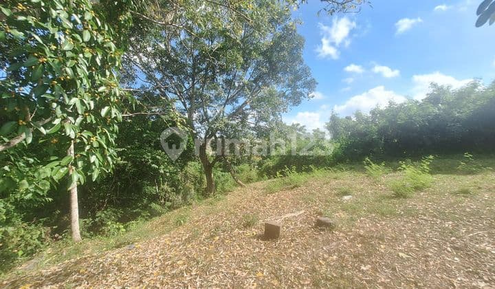 Tanah View Sungai Greenlot Sambadha Munggu Mengwi Bali