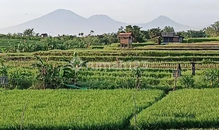 Tanah Strategis Siap Bangun Bedugul Kerobokan Bali
