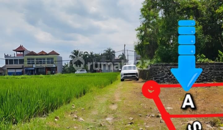 Tanah View Sawah Itr Pemukiman Nyitdah Kedungu Tabanan Bali