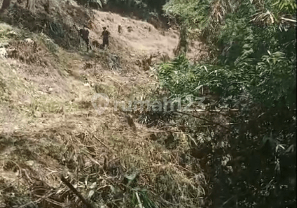 Tanah Strategis Tegallalang Gianyar Bali