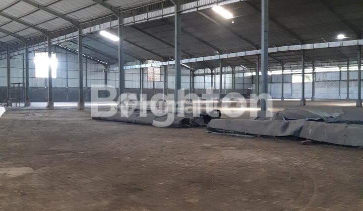 JUMBO LT 0,95 HA