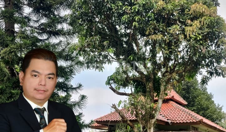 Di Jual Tanah Luas 8145m² SHM di Ciawi Bogor