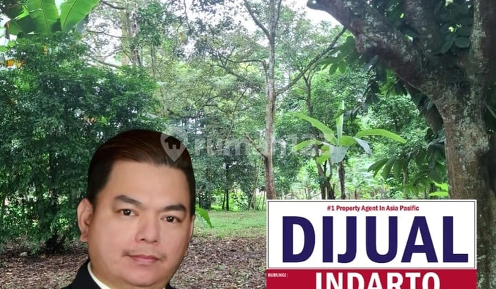 For Sale Tanah Luas SHM LT 6675M² di Palasari Cijeruk , Lokasi Cocok untuk Cemetery Pribadi