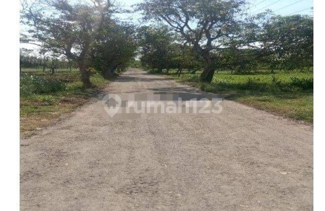 GUDANG EX PABRIK BYPASS SURAMADU BANGKALAN MADURA