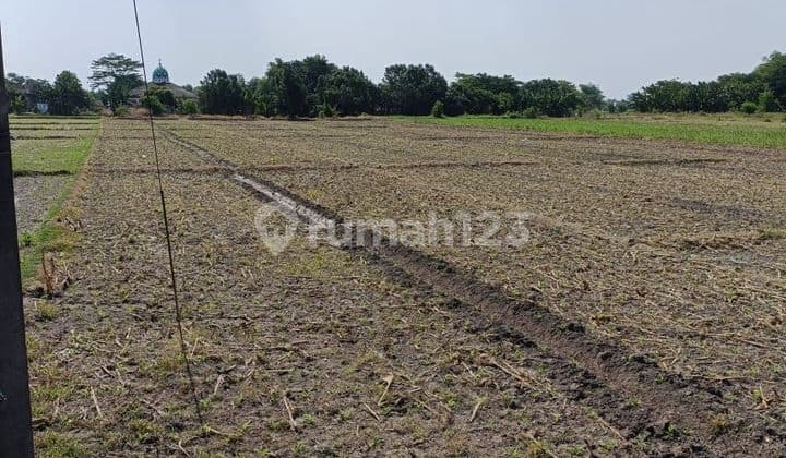 TANAH MULTI GUNA JALAN RAYA NASIONAL BYPASS MOJOKERTO