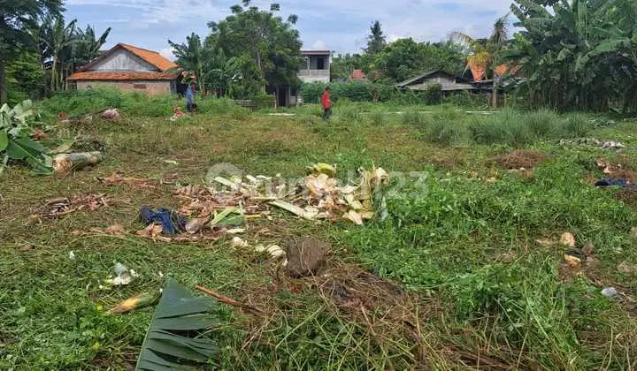 Dijual Tanah Kedaung Sepatan Timur Tangerang