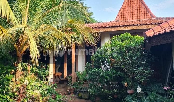 Rumah Joglo Nan Asri di Kalibata Jaksel