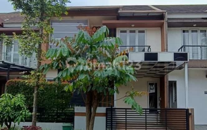 Royal Tajur House Main Road Mountain View