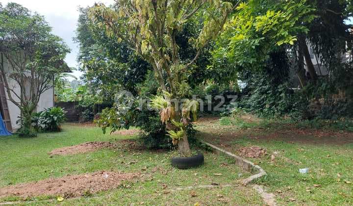 Dijual Tanah di Ciawi Gadog Bogor. Lahan Siap Bangun. Lokasi Strategis