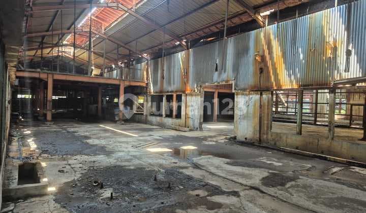 For Rent: Land with Factory Building in West Diancol, Area 1.2ha, 40ft Access, Rare Opportunity, Negotiable Until Deal is Done!!