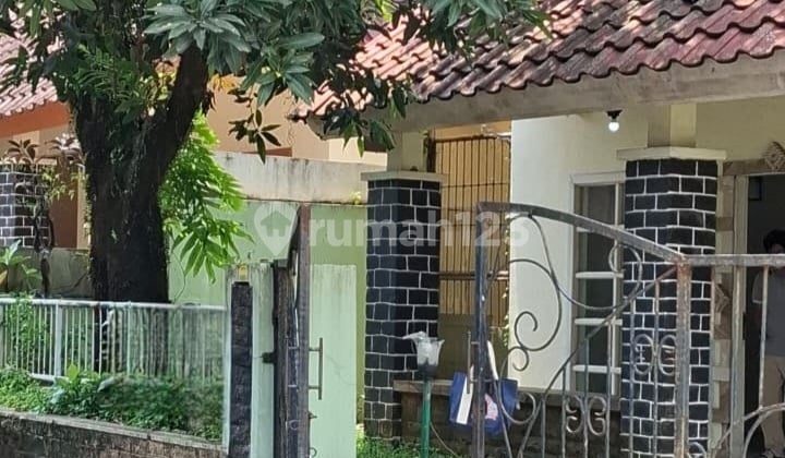 Rumah Di Anggrek Loka Bsd Perlu Renovasi Total
