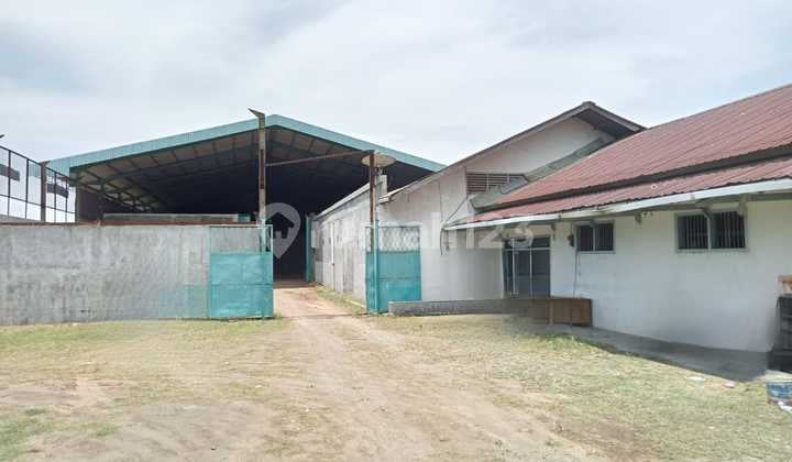 Gudang Siap Pakai Daerah Losari