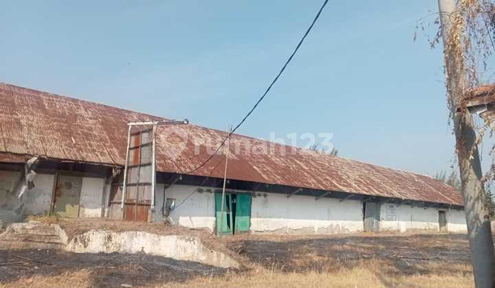 Gudang Siap Pakai Daerah Taman