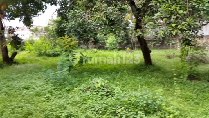 TANAH PARUNG BOGOR RAYA COCOK UNTUK PADEL / SHOWROOM / RESTO